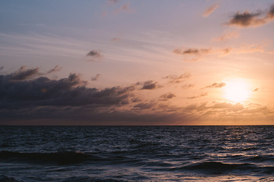 Descripción de la imagen 36